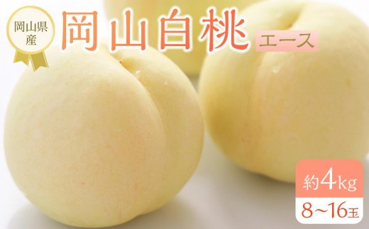 
                  岡山県産 桃 岡山白桃 2026年 エース 約4kg（8～16玉）【白桃 桃 もも 果物 フルーツ 新鮮 岡山県産 おすすめ 人気 ギフト 岡山県 岡山市】
                