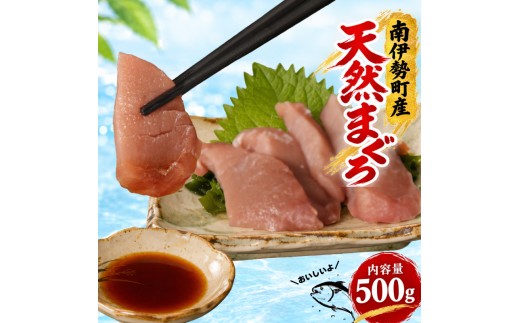 国産 天然 マグロ 柵 500g / 南伊勢 海鮮 魚 マグロ 鮮魚 冷凍 寿司 キハダマグロ 赤身 伊勢 志摩 南伊勢 城水産 10000円 一万円以下 刺身 
