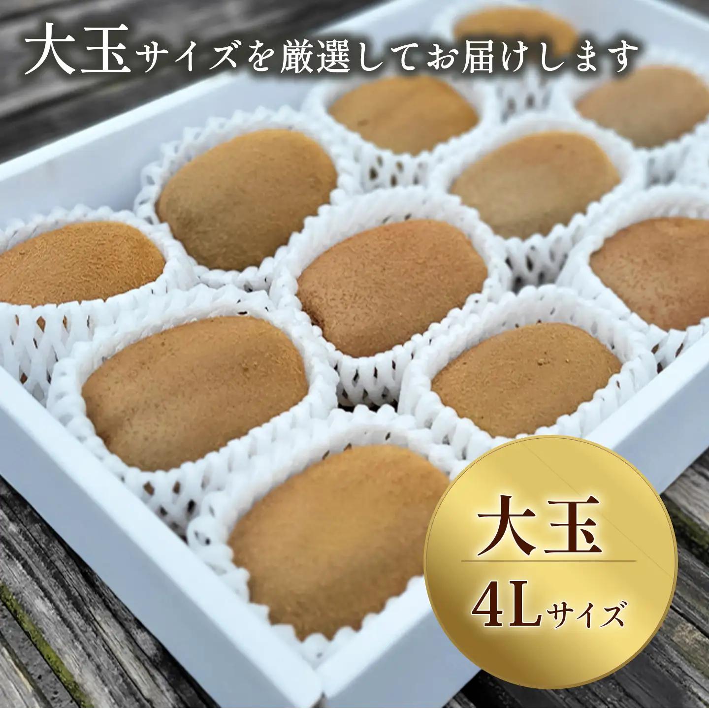 【先行予約】キウイフルーツ 4Lサイズ12個 大玉 キウイ