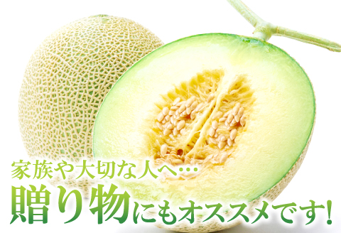 B-161 益田産アールスメロン8kg(5~6玉入り)【夏作】