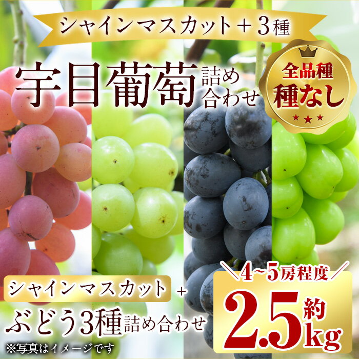 【ふるさと納税】＜先行予約受付中！2025年9月以降順次発送予定＞宇目葡萄 3種詰め合わせ＋シャインマスカット入り(合計2.5kg・4～5房) ピオーネ 安芸クイーン ハニービーナス ぶどう 種なし【AY72】【(公財)さいき農林公社】
