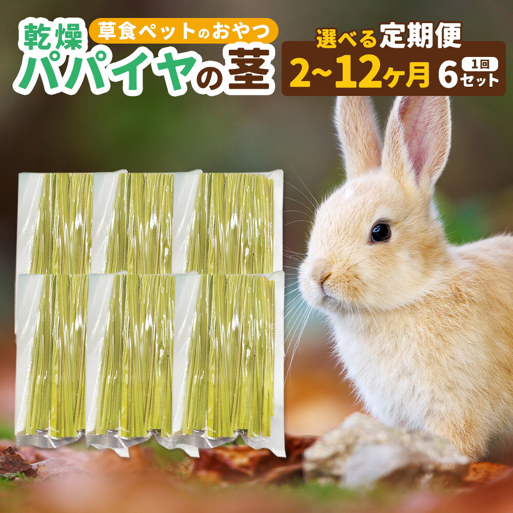 【ふるさと納税】乾燥パパイヤの茎 50g（約20本～30本）×6セット（うさぎ等、草食の小動物のおやつ）【選べる定期便】（2回／3回／6回／9回／12回） ペット うさぎ ウサギ ハムスター モルモット チンチラ 小動物 草食 無添加 無着色 パパイヤ 茎 乾燥 国産 静岡県 菊川市