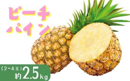 パイナップル ピーチパイン 約2.5kg 2～4玉 パイン 果物 フルーツ 沖縄 西表島【TOK:iふぁーむ】配送不可：離島