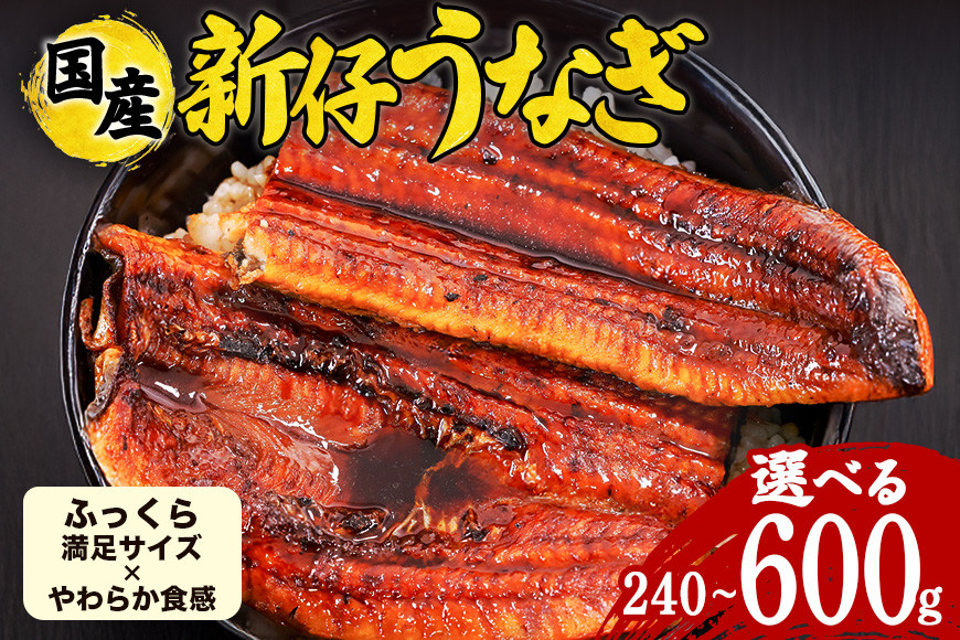 
            やわらか国内産 うなぎ蒲焼 満足サイズ! 2尾～5尾 14000円から (120～140g×2尾～5尾) ふっくら蒲焼き ブランド鰻使用 秘伝のタレ・山椒付き 湯煎で簡単調理 うな丼 ちらし寿司 贈答用 ギフト 冷蔵配送 国産 茨城県 潮来市
          