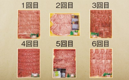 《定期便》長崎和牛お届け便(6回コース)