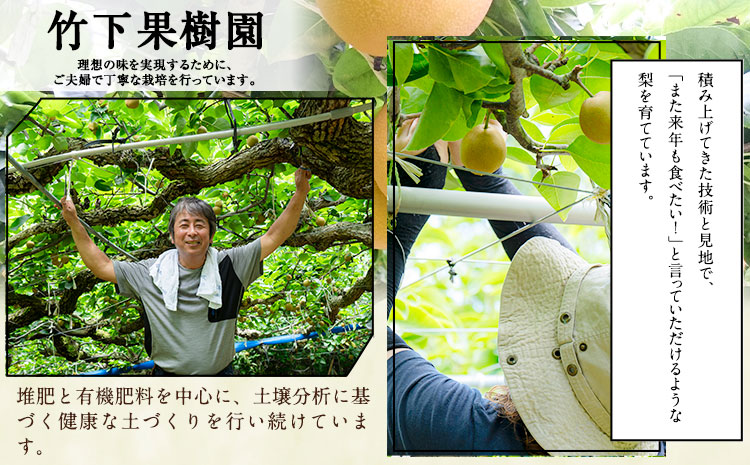 梨 完熟梨 和梨 なし フルーツ 果物 旬 秋 ( 幸水 凛夏 あきあかり 秋麗 あきづき 豊華 新高 新興 のいずれか) 約4.5~ 5kg (8～14玉) 熊本県長洲町産 竹下果樹園《8月中旬-1