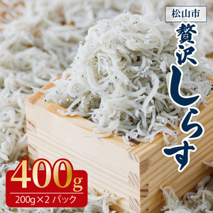 しらす 400g ( 200g × 2パック ) 冷凍 小分け しらす しらす しらす しらす しらす しらす【IY028】
