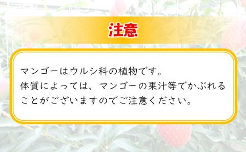 【先行予約】「訳あり」ご家庭用完熟マンゴー2ｋｇ（4玉～8玉）宮崎県西都市産＜2-95＞