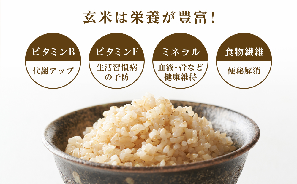 【令和7年産新米予約】【定期便 10カ月】ゆめぴりか 玄米 10kg 《杉本農園》
