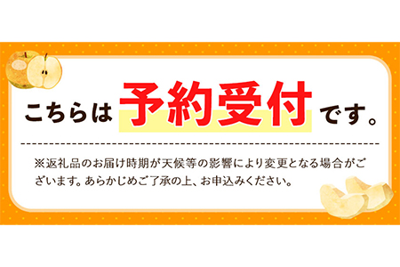 【2026年先行予約】 梨 旬の梨 約 3kg 藤末果樹園 熊本県荒尾市産 期間限定 《7月中旬-10月上旬頃出荷》フルーツ 果物 荒尾梨 はつまる 幸水 愛甘水 りんか ほしあかり 豊水 秋麗 かお