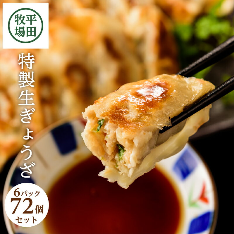 【ふるさと納税】平田牧場特製生ぎょうざ 72個セット 12個入×6パック 冷凍便 ※離島発送不可 豚肉 三元豚