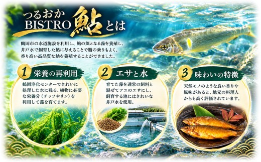つるおかBISTRO鮎 極上ギフトセット (鮎甘露煮2尾 ＆ 開き干し3尾) | ビストロあゆ 山形県漁業協同組合 由良水産加工場