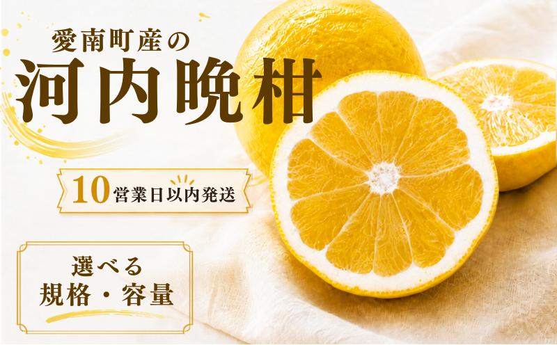 
                  【10営業日以内発送】 訳あり 通常品 河内晩柑 ばんかん 約 4～ 10kg 不揃い 大小ミックス 4kg 5kg 9kg 10kg 傷あり 柑橘 かんきつ フルーツ 果物 くだもの すぐ届く 早い 甘い さっぱり 厳選 愛媛 みかん 蜜柑 Mikan 愛南 ご当地 ブランド 野菜 サラダ ピール ゼリー お菓子 デザート マルエム直販 愛媛県 愛南町
                
