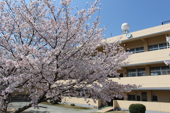
            【学校応援ふるさと寄附金】田原本町立東小学校（返礼品なし）1,000円
          