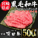 【ふるさと納税】宮崎黒毛和牛すき焼きしゃぶしゃぶローススライス(500g)国産 宮崎県産 黒毛和牛 すき焼き しゃぶしゃぶ ロース 霜降り 和牛【AR004】【(有)有田牧畜産業 食肉加工センター】