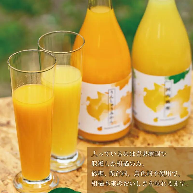 ストレートジュース 愛媛 の 柑橘ジュース 720ml × 2本 セット 壱果樹園 河内晩柑 温州みかん みかんジュース みかん 蜜柑 mikan フルーツ ジュース 果汁 100% 飲料 ギフト 贈