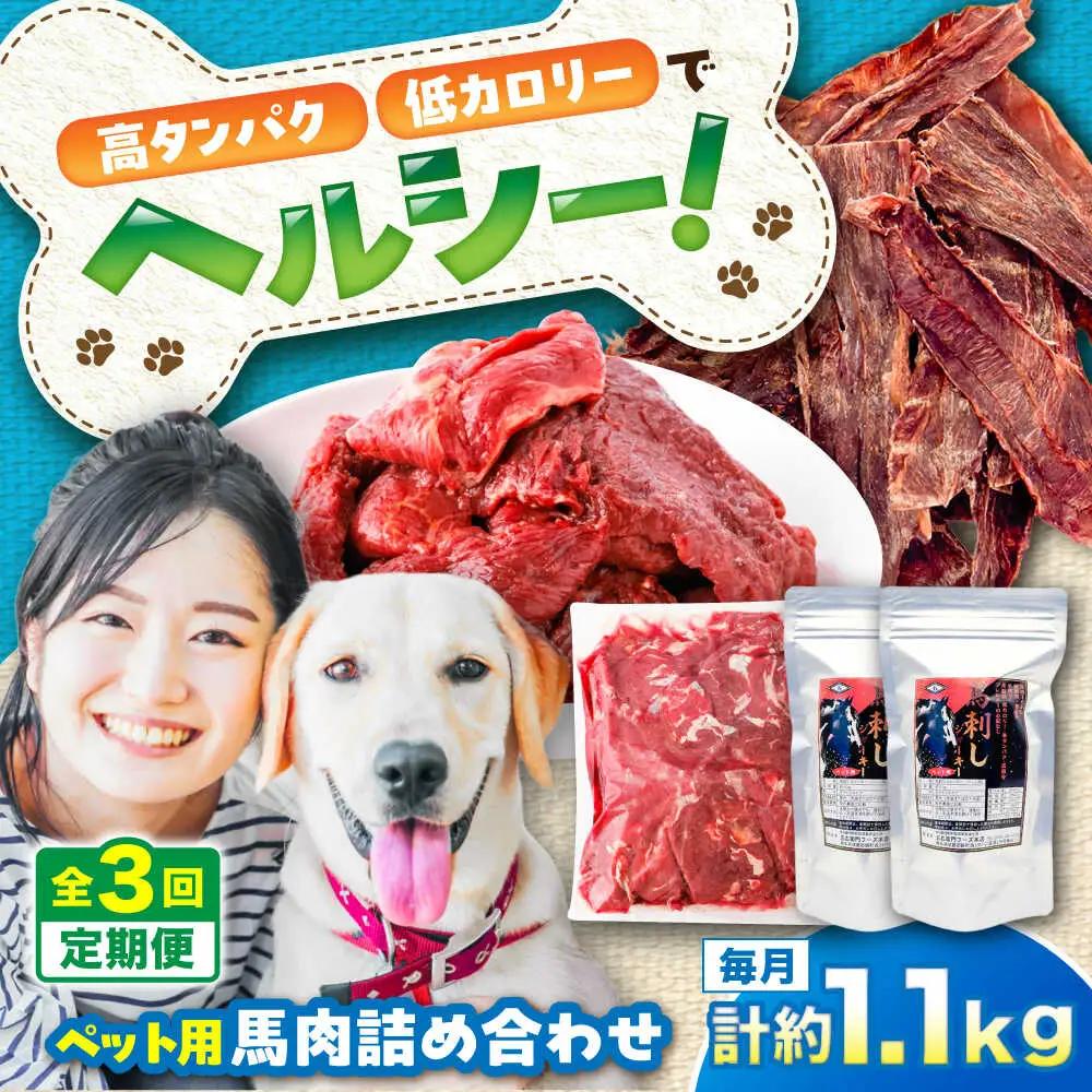 【全3回定期便】詰め合わせ 国内加工 ペット用 馬肉 切り落とし 約1kg ペット用 馬刺しジャーキー 約100g BHCY066