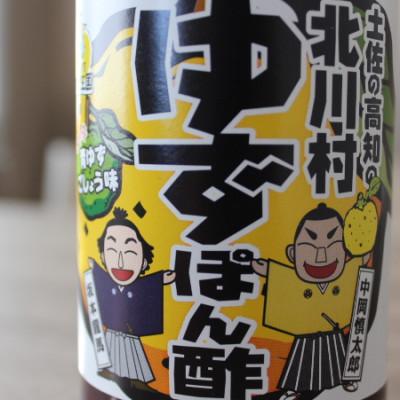 ふるさと納税 北川村 青ゆず胡椒入り。ゆず王国のゆずぽん酢500ml×2本【北川村ゆず王国】