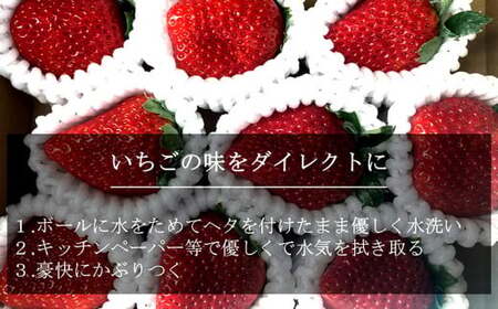 特大いちご(紅ほっぺ)　400g以上(7～10粒)×2箱・O041-22
