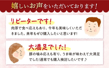 【訳あり】【月1回約2kg×12回 定期便 】大西海SPF豚 こま切れ 計24kg＜大西海ファーム＞[CEK100] 豚 豚肉 肉 国産豚 切り落とし 豚 切り落とし 豚 切り落とし 国産 国産切り落