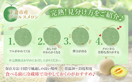 12-16茨城県産アールスメロン【秀品】1個【2024年9月上旬～10月下旬ごろ発送予定】
