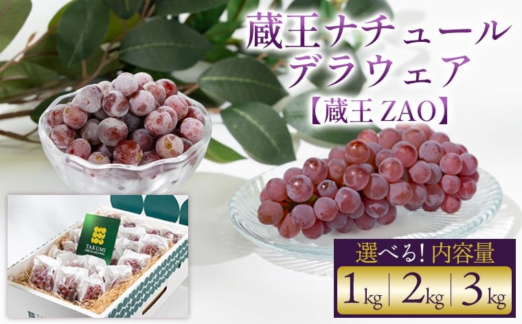 
                  【蔵王 ZAO】蔵王ナチュールデラウェア 山形のデラウエア TAKUMI ORCHARD 99% 贈答 2L以上 糖度保証 約1kg 2kg 3kg 選べる 容量 山形 山形県 山形市 フルーツ 果物 くだもの 送料無料 ぶどう 葡萄 ブドウ デラウェア 減農薬【令和8年産先行予約】
                