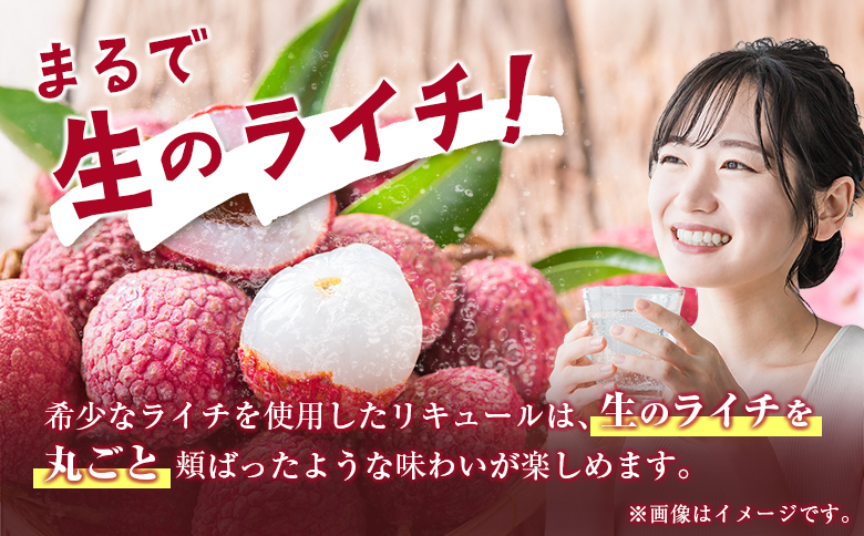 寶 和リキュール「産地めぐり」宮崎ライチ 720ml×6本 お酒 果実酒 贈答 宝酒造【E266】 720ml×6本