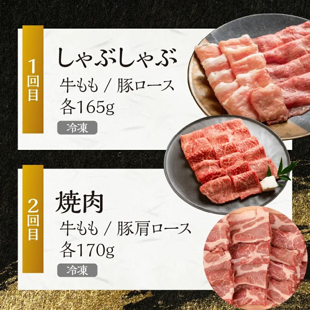 【定期便２回】 飛騨牛＆納豆喰豚 お楽しみ定期便（しゃぶしゃぶ用、焼肉用）【11-S】