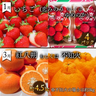 ふるさと納税 南島原市 【発送月固定定期便】果物屋が選ぶ旬のフルーツ定期便 奇数月発送コース全6回 |  | 01