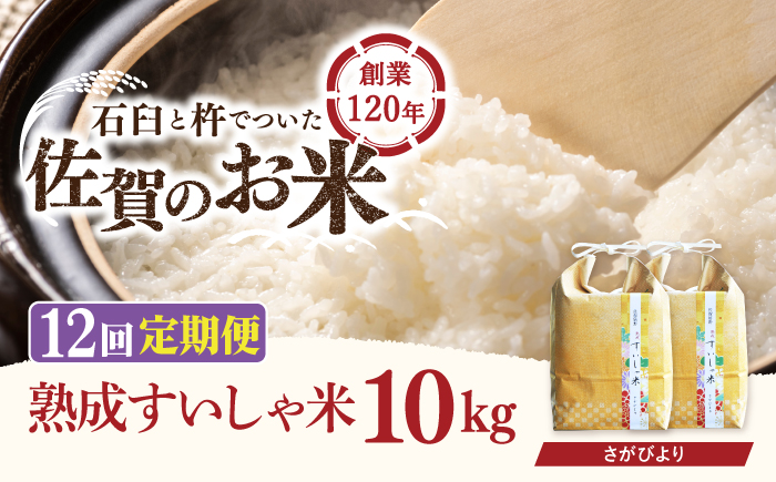 【12回定期便】 令和6年産 佐賀県産 さがびより 10kg【一粒】NAO044