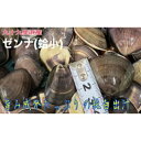 【ふるさと納税】うま味が濃い純白出汁の天然”ゼンナ”冷凍（蛤小）2kg入り　【 魚貝類 旨み 濃厚な出汁 天然はまぐり 身が厚い 甘み 貝 海の幸 海鮮 国産 九十九里浜産 】