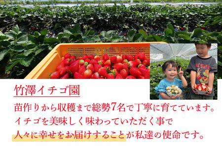 [先行予約] [定期便／3ヶ月] 日光産 とちあいか定期便 (毎月お届け 約1.2kg×3回 計3.6kg) [2026年1月中旬から順次発送]｜とちあいか いちご イチゴ 苺 果物 日光産 栃木県産