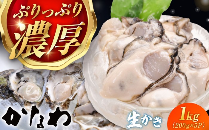 
                  【生牡蠣】 かなわの生牡蠣 むき身200g×5パック 計1kg 江田島市／株式会社かなわ [XBP004]｜生牡蠣 牡蠣 生食 むき身 かき カキ 生牡蠣 広島牡蠣 オイスター 冬かき 魚介類 魚介 貝類 海鮮 広島県産 国産 産地直送 贈答 ギフト 特産品
                