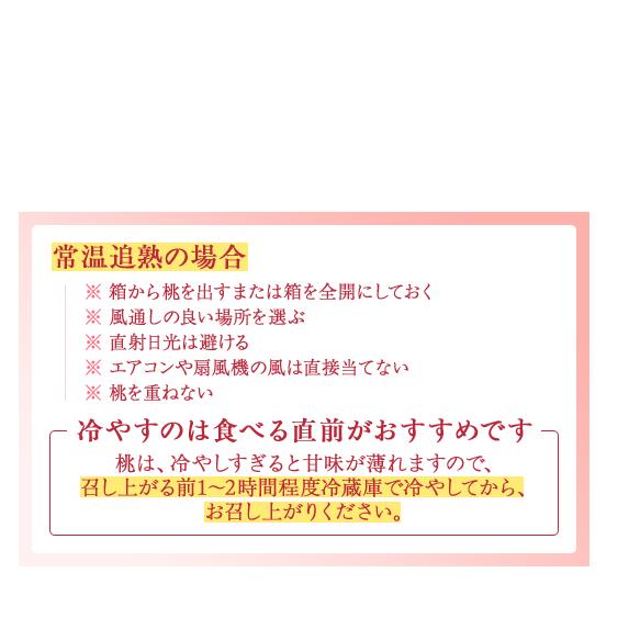 【産直・人気の特産品】和歌山の桃　約4kg・秀品◇ ｜ モモ 国産 フルーツ お取り寄せ ギフト
※北海道・沖縄・離島への配送不可
※2025年6月下旬～8月上旬頃に順次発送予定_イメージ5