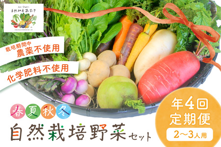 野菜【年4回定期便】自然栽培野菜セット(年4回春夏秋冬)2～3人用 京野菜 野菜 旬野菜 野菜  