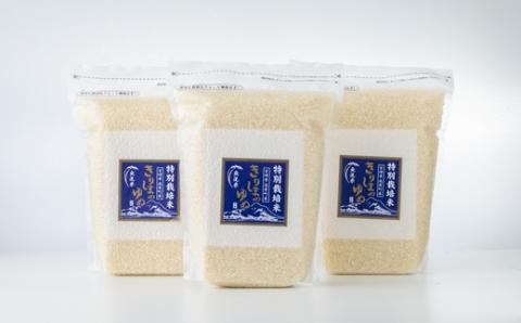 【数量限定200セット】霧島湧水が育む「きりしまのゆめ」コシヒカリ 6kg 減農薬栽培のお米(特別栽培米・無洗米・真空チャック式) TF0664-P00026