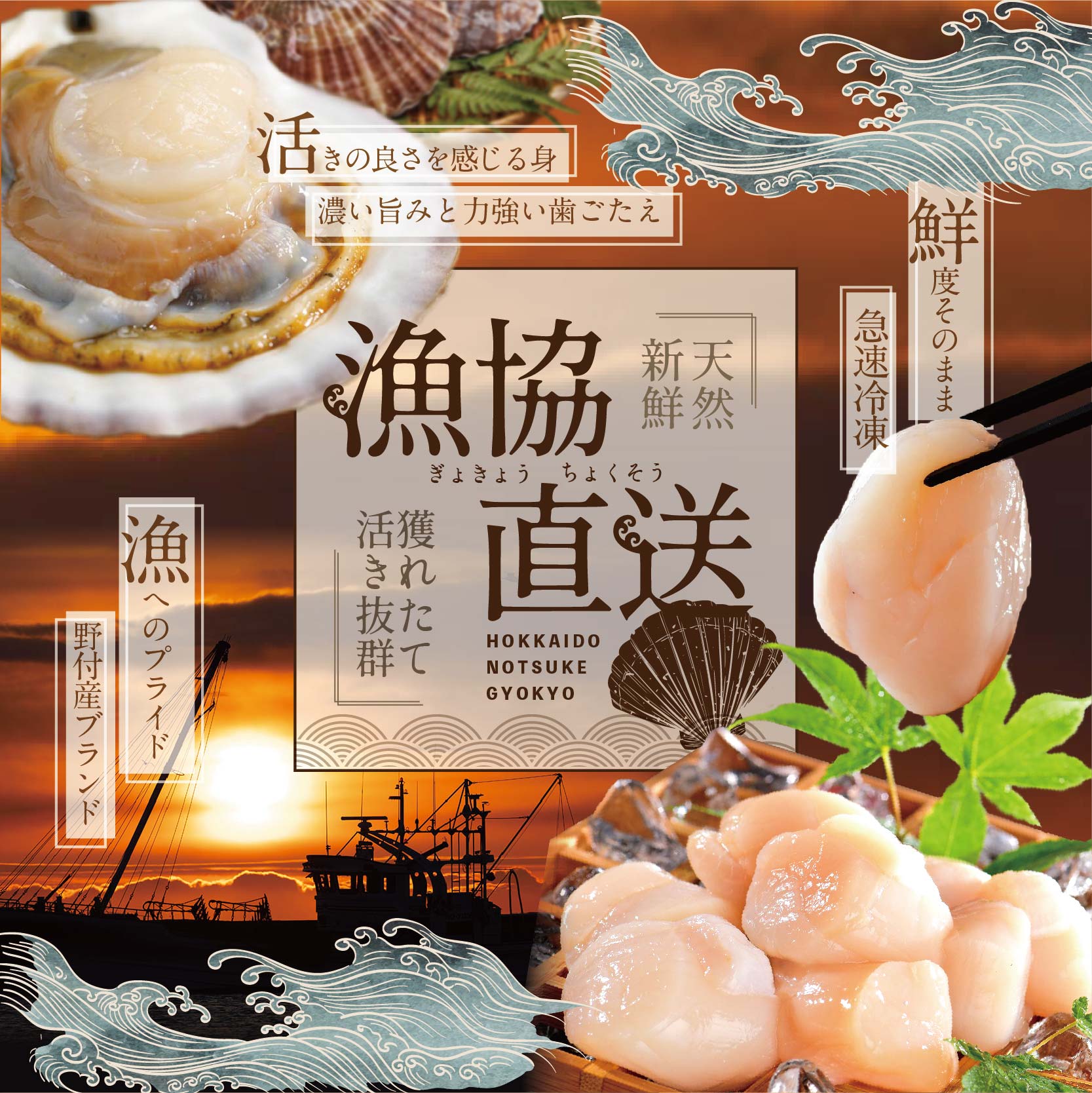 【隔月6回定期便】【ホタテ禁輸措置生産地支援品】北海道 野付産 漁協直送 冷凍ホタテ 貝柱大粒ホタテ500ｇ 【NKB06ND01】_イメージ4