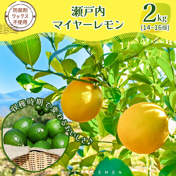 【ふるさと納税】瀬戸内マイヤーレモン 約2kg レモン オレンジ 交配 品種 檸檬 れもん 柑橘 みかん 蜜柑 フルーツ