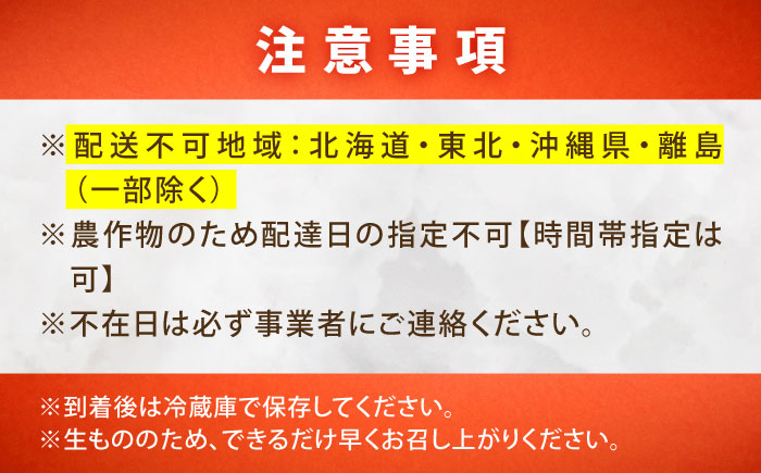苺 「もういっこ・紅ほっぺ」200ｇ×4パックセット 広島県福山市/株式会社ラフテル もういっこ 紅ほっぺ いちご イチゴ セット　 [BAGD001]