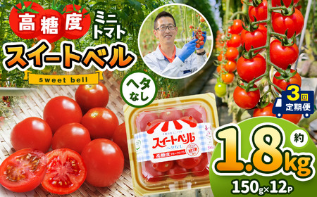 【定期便3回】高糖度 ミニトマト スイートベル （ ヘタなし ） 150g × 12P | 野菜 トマト ミニトマト プチトマト トマト 高糖度 トマト とまと 小分け 君津とまとガーデン 定期便 定期 3回 千葉 君津 きみつ
