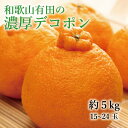 【ふるさと納税】【大人気】和歌山有田の濃厚デコポン　15〜24玉(約5kg) 【2025年1月中旬～3月下旬（順次発送予定）】