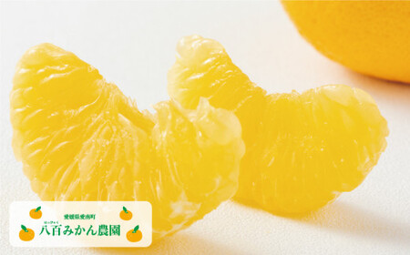【先行予約】訳あり 完熟 甘夏 5kg 発送期間：2027年3月上旬～無くなり次第終了 八百みかん農園 愛媛県 愛南町