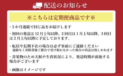【年3回定期便】 いちご（ゆうべに＆恋みのり各2パック）計4パック×3回 【2026年12月上旬発送開始】 いちご イチゴ 苺 ゆうべに 恋みのり 果物 くだもの フルーツ 果実 果汁 定期便 年3回