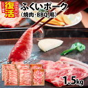 【ふるさと納税】ふくいポーク3種　焼肉・BBQ用（1種 約250g×2パック)　合計約1.5kg [B-066039] / 豚肉　ふくいポーク　ブランド豚　冷凍　送料無料　バラ　ロース　モモ　焼肉　バーベキュー　BBQ　小分け　250g　500g