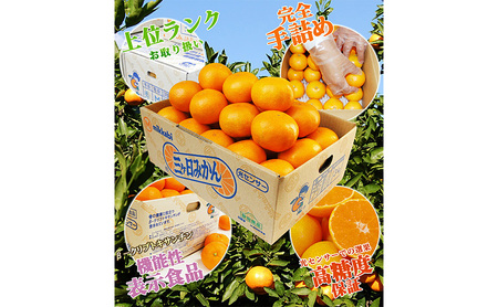 三ケ日みかん 青島【秀品】Lサイズ3kg(23個前後) ミカン 果物 くだもの フルーツ 甘い 果物類 柑橘類 静岡 浜松市【配送不可：北海道・沖縄・離島】