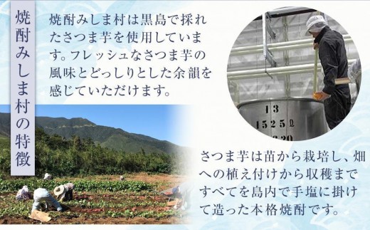 【2027年お届け】大名筍3kg（約11本）（竹島産）と焼酎みしま村720mlのセット