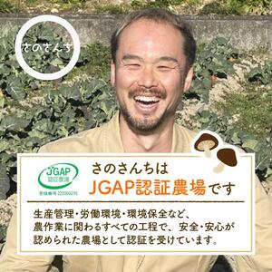 【先行予約：2025年11月以降順次発送】生 しいたけ 富富（とむとむ）約1kg さのさんち 椎茸 シイタケ 肉厚 ジューシー きのこ 静岡県 藤枝市 人気 野菜 旬 安心 安全 JGAP認証農場