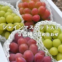 【ふるさと納税】岡山県産 果樹園のおすすめ葡萄3品種(シャインマスカット入り)上級品 大房3-5房入/計2.4kg～【配送不可地域：離島】【1448583】