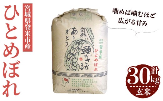 【最短14営業日以内に発送予定】≪令和7年産≫ ひとめぼれ 玄米 30kg 登米市産 お米 おこめ 米 コメ ご飯 ごはん おにぎり お弁当 【登米ライスサービス株式会社】tm142