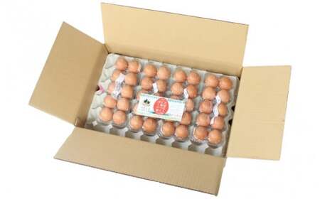 大切な人に食べてほしい卵 10個入×4パック【冷蔵配送】 / 田辺市 卵 たまご 鶏卵 平飼い お取り寄せ 卵かけごはん 和歌山県 【kag001】